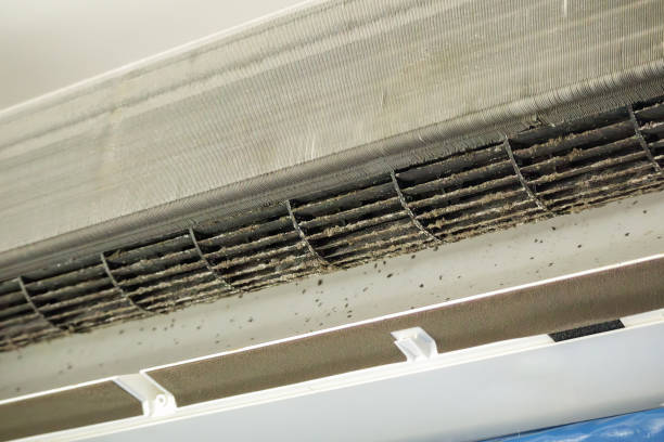 Best Air Duct Cleaning Near Me  in Anchorage, KY